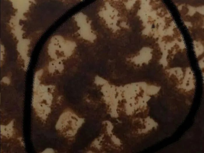 Запись на прием к гадалке в Владикавказе